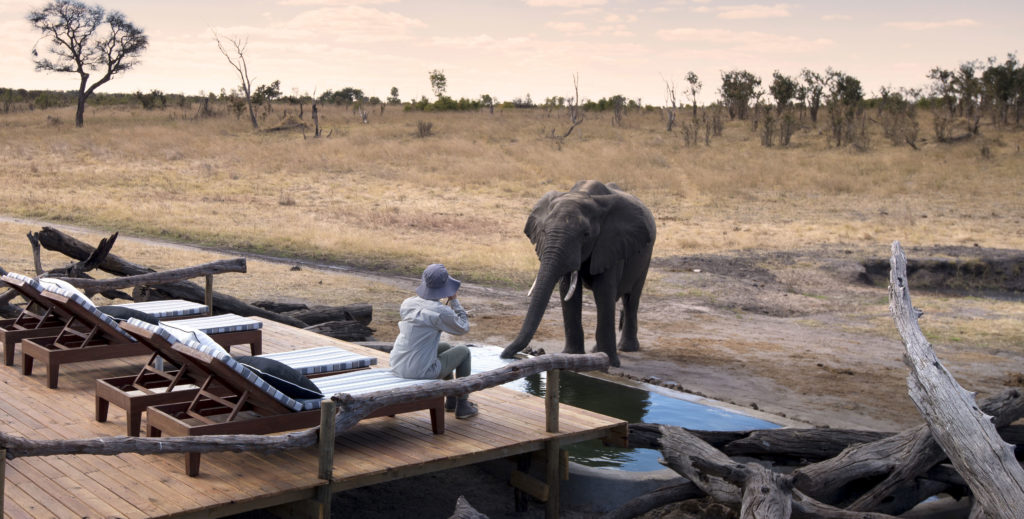 Encontros imediatos com elefantes na piscina de elefantes, Somalisa Expeditions