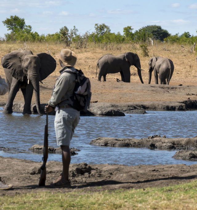 Hwange National Park Zimbabwe Walking Safari