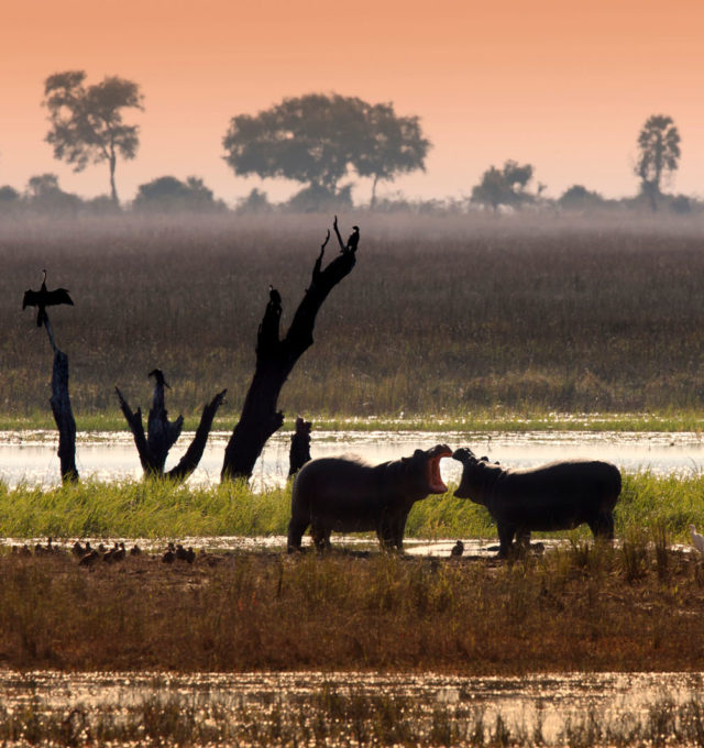 Botswana Chobe National Park Safari Camp