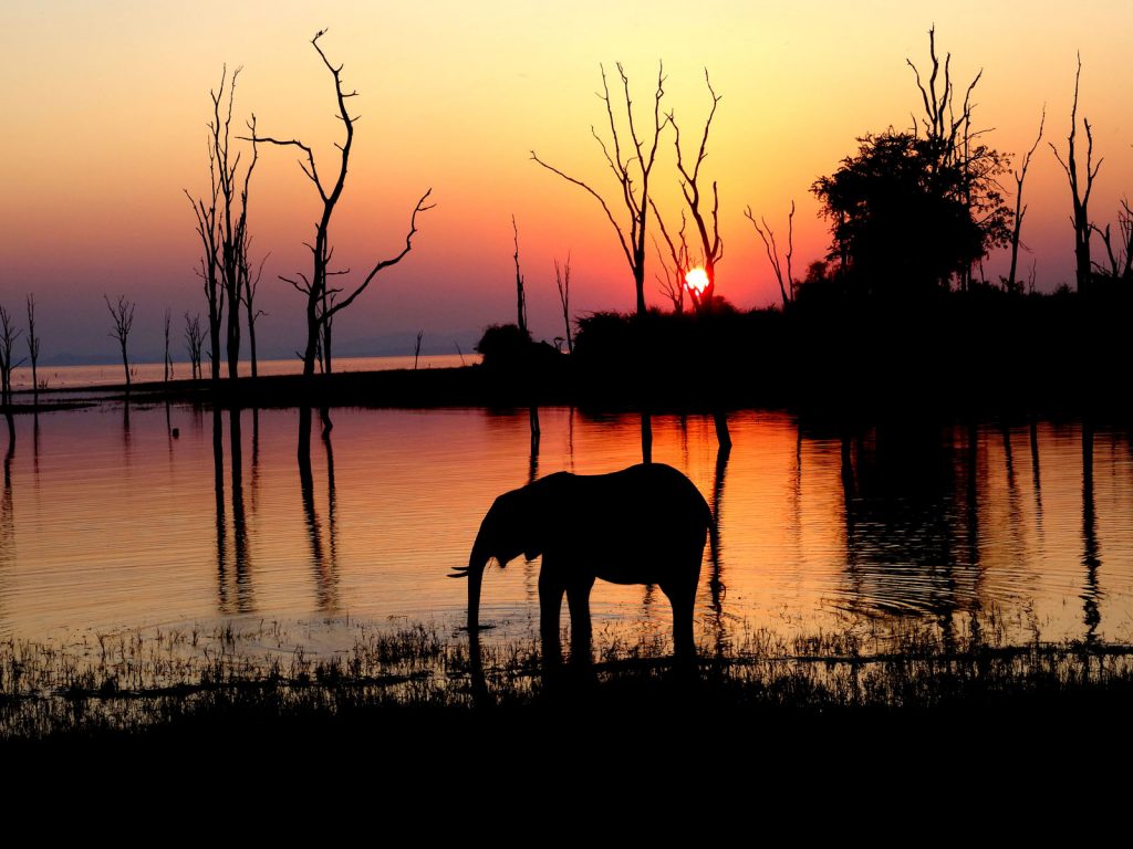 Zimbabwe Matusadona & Lake Kariba