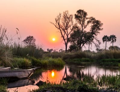 Botswana okavango delta luxury safari