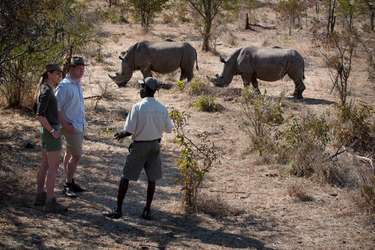 Rhino trekkin gin mosi-ao-tunya national park, zambia with african bush camps at thorntree river lodge