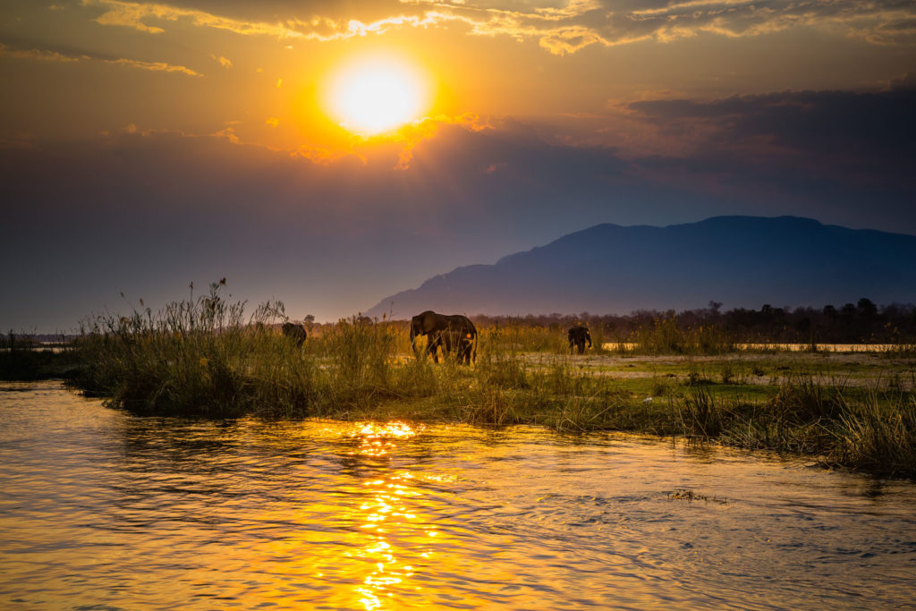 Zambia Safari Mana Pools Tramonto