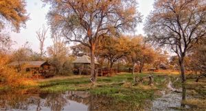 Exterior view of Khwai Tented Camp