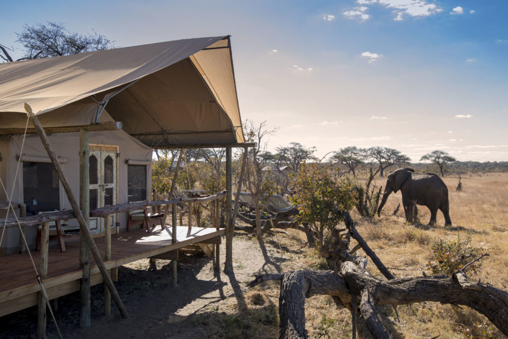Somalisa Expeditions, Hwange National Park, Zimbabwe Close encounters with elephants from camp (2) Luxury Safari Lodge African Bush Camps