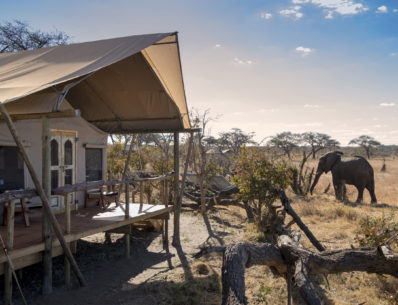 mana pools safari lodge zimbabwe