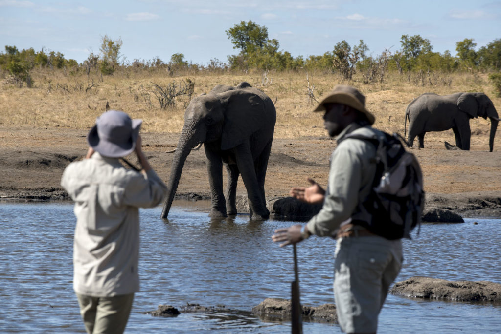 Somalisa Camp - Hwange National Park, Zimbabwe Safari