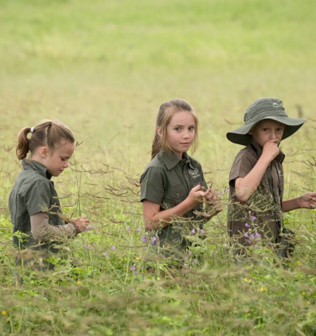 Children on safari in Somalisa