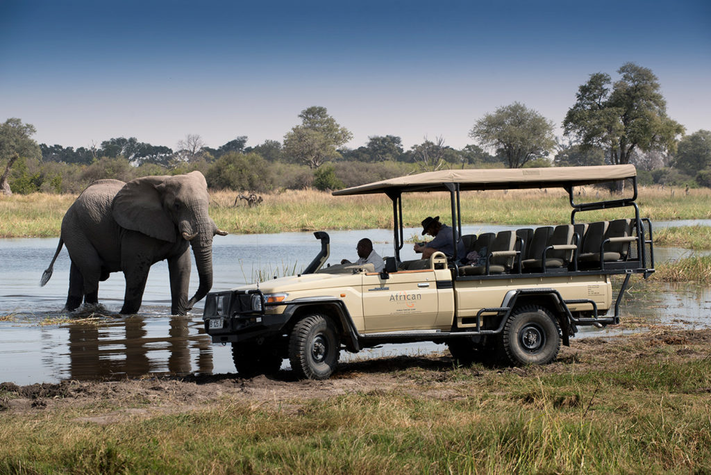 Moremi Reserve Botswana Game Drive