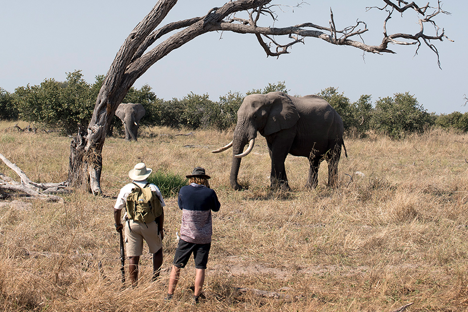 Safari a piedi della riserva di Moremi in Botswana