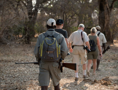 Linyanti Walking Safari