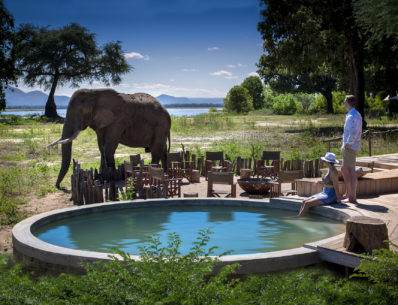 Elephant_outdoors_Nyamatusi_Mana_Pools_African_Bush_Camps