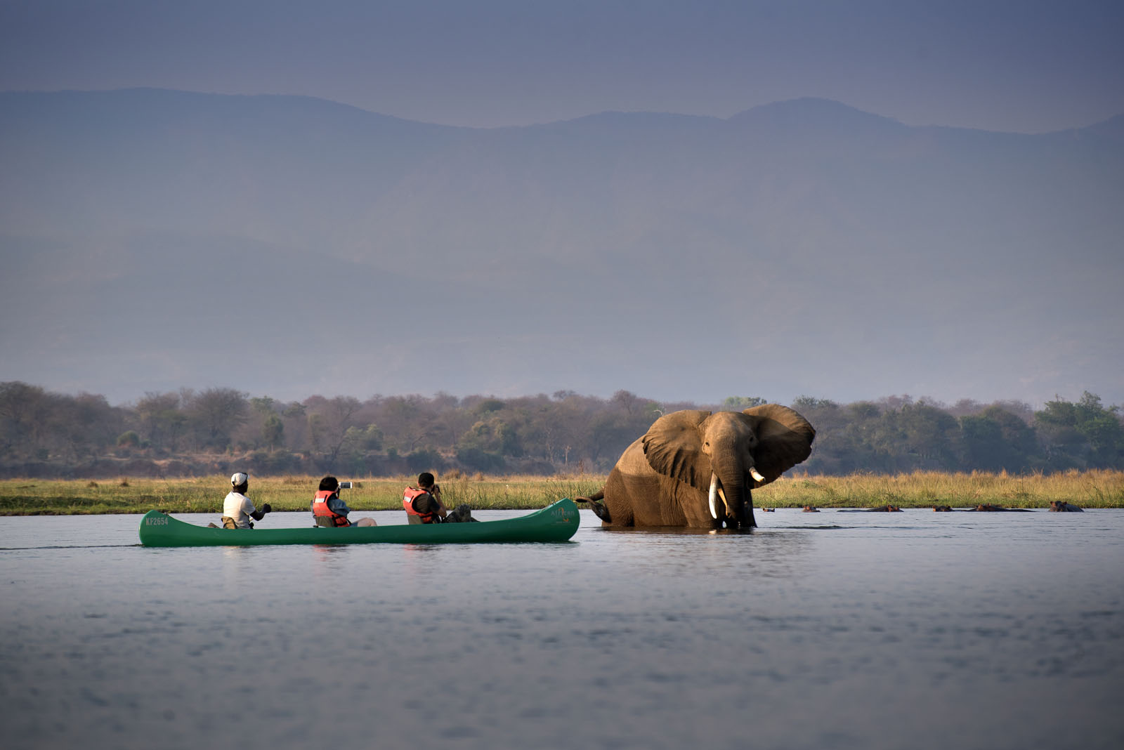 Canoe Mana Pools National Park Zimbabwe