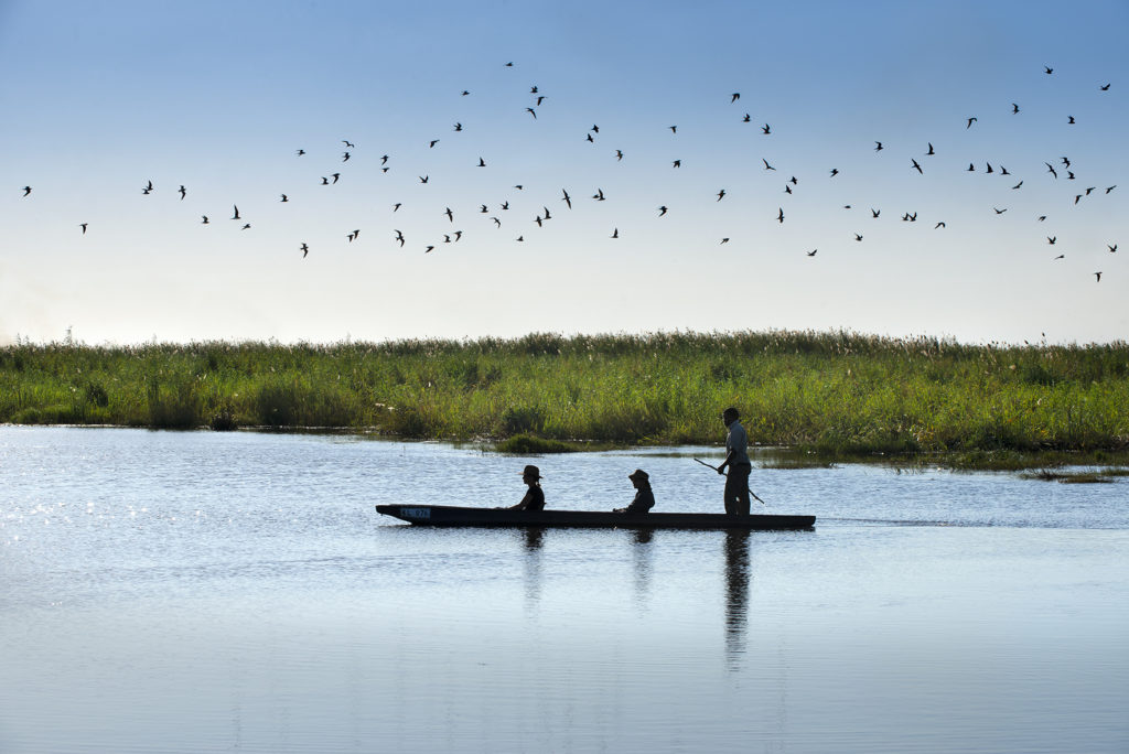 Linyanti Expeditions Botswana Dook 2019 (47) African Bush Camps