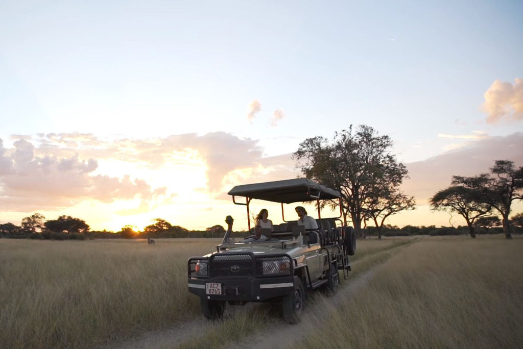 African-bush-camps-hwange-national-park-game-drive-at-somalisa-camp-zimbabwe-wildlife-safari