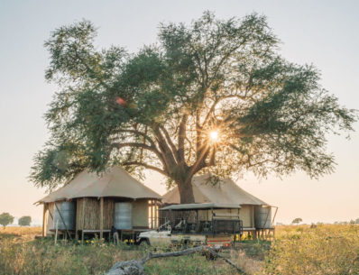 zimbabwe safari lodge