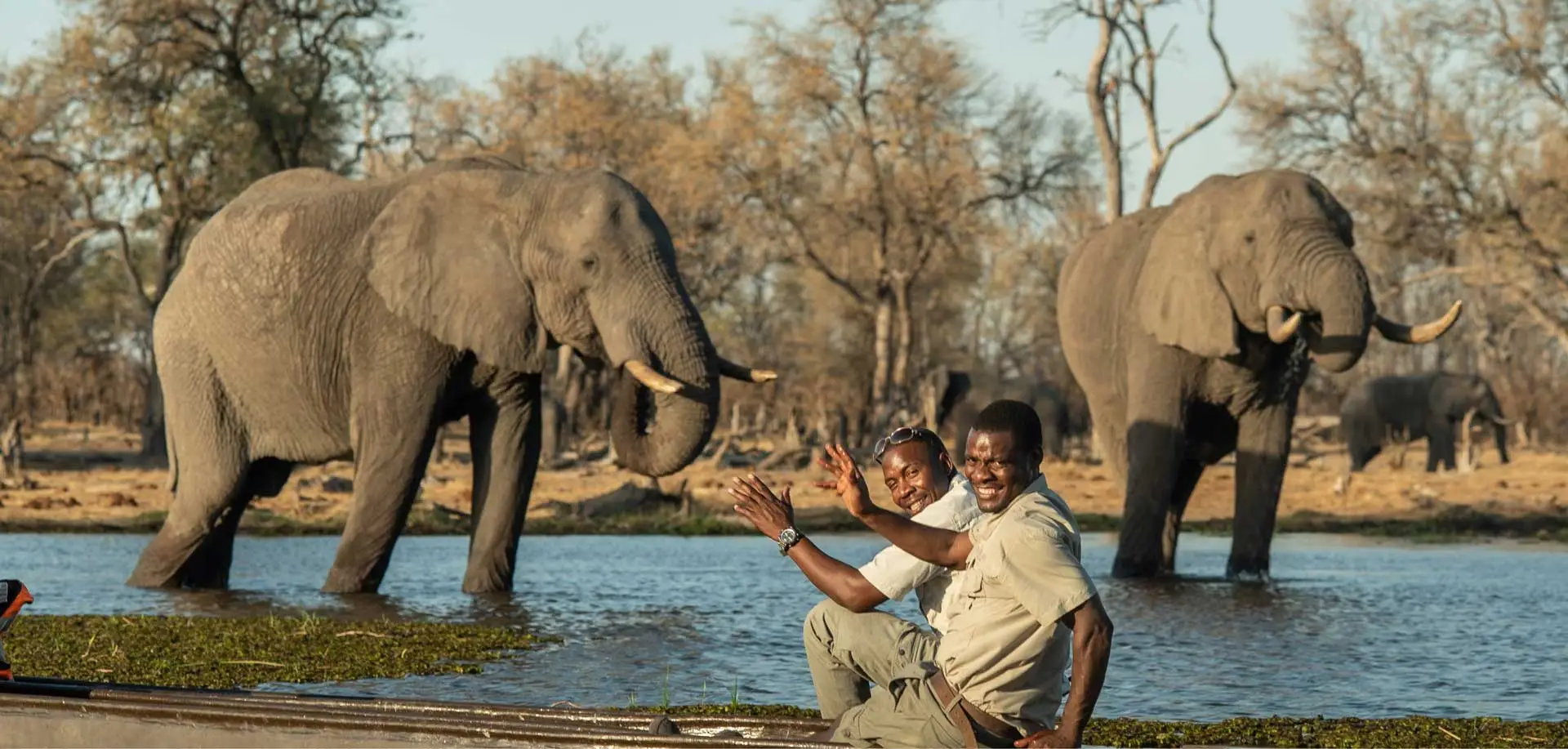 Elephants and Guides Banner