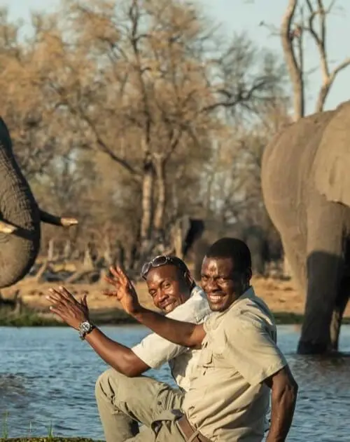 Elephants and Guides Banner